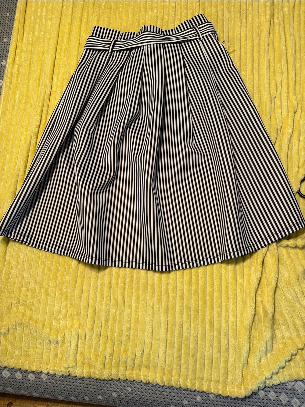 Black and White Vertical Stripe Skater Skirt